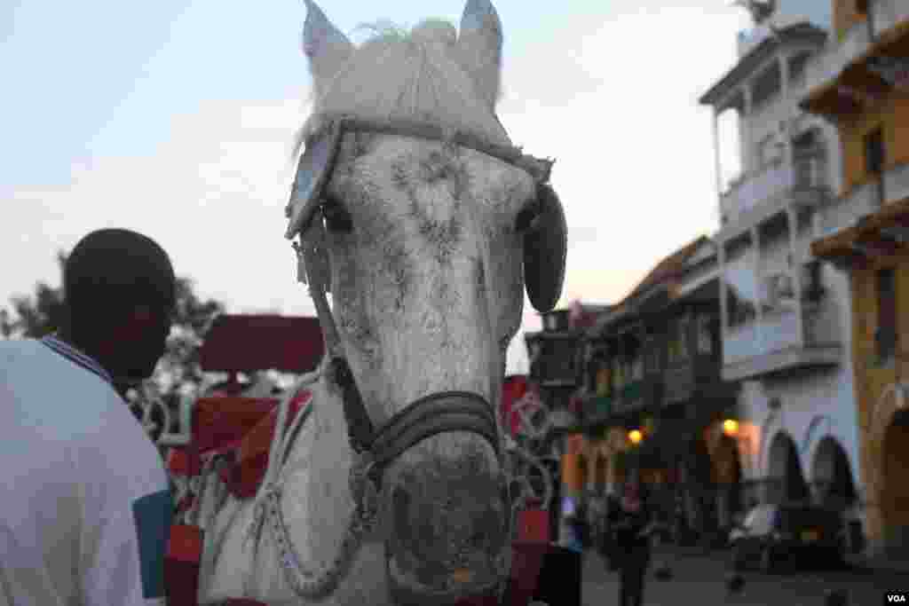 Un paseo a caballo es la recomendación que se le hace a los visitantes.