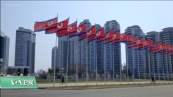 专家视点(王维正)：习近平缘何选择此时访问平壤？