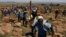 Greve dos mineiros da AngloGold Ashanti (África do Sul)