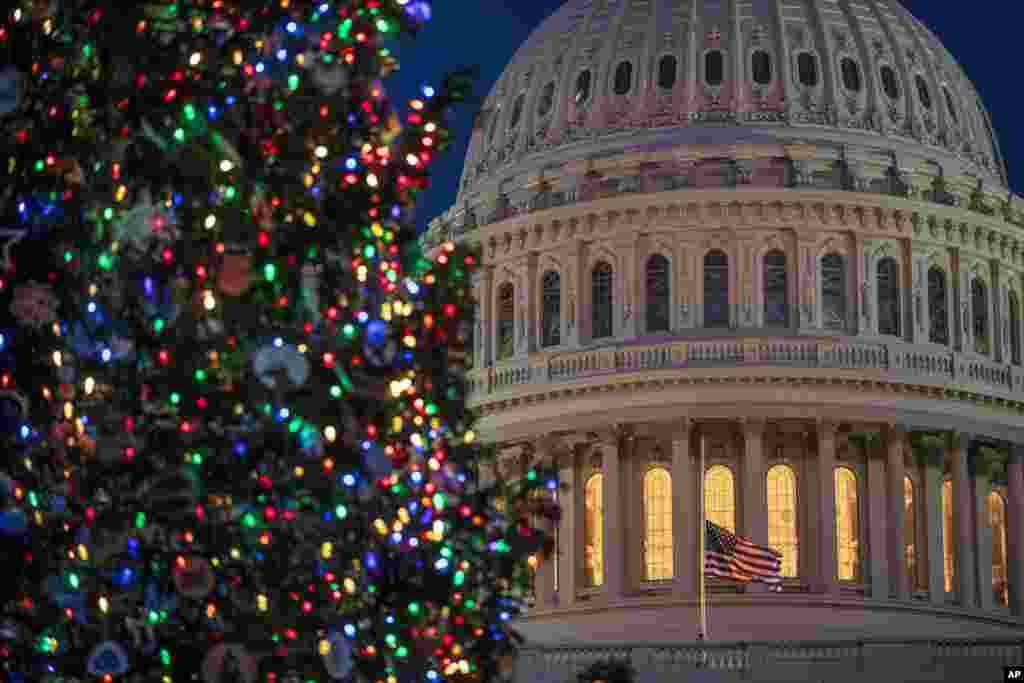 نمایی از درخت کریسمس در کنار ساختمان کنگره آمریکا. سه شنبه ۲۵ دسامبر / ۴ دی، روز گرامیداشت میلاد مسیح و تعطیل رسمی در آمریکا است.