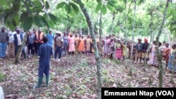 Concertation entre les investisseurs étrangers et les cacaoculteurs du village Tala 2, dans une plantation cacaoyère au Cameroun, le 25 mai 2017. (VOA/Emmanuel Ntap)