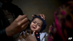 Afghanistan, Pakistan và Nigeria là những nước duy nhất vẫn còn dịch bệnh bại liệt.