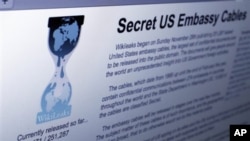 The Internet homepage of Wikileaks (file photo – 01 Dec 2010)