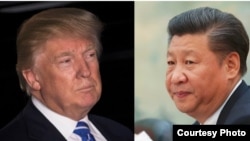 Tổng thống đắc cử Hoa Kỳ Donald Trump (bên trái) và Chủ tịch Trung Quốc Tập Cận Bình