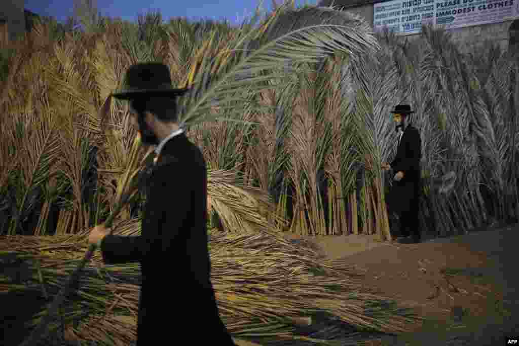 An Ultra-Orthodox Jewish man carries palm branches for the roof of his Sukkah, a temporary hut constructed for use during the week-long Jewish festival of Sukkot, the feast of the Tabernacles, in the Ultra-Orthodox neighborhood of Mea-Shearim in Jerusalem, Oct. 2, 2017.