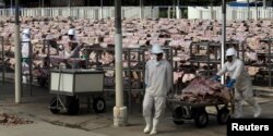 FILE: Workers carry salted meat at a plant of JBS S.A, the world's largest beef producer, in Santana de Parnaiba