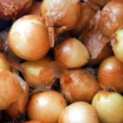 Grow It Yourself: Onions Are Nothing to Cry About