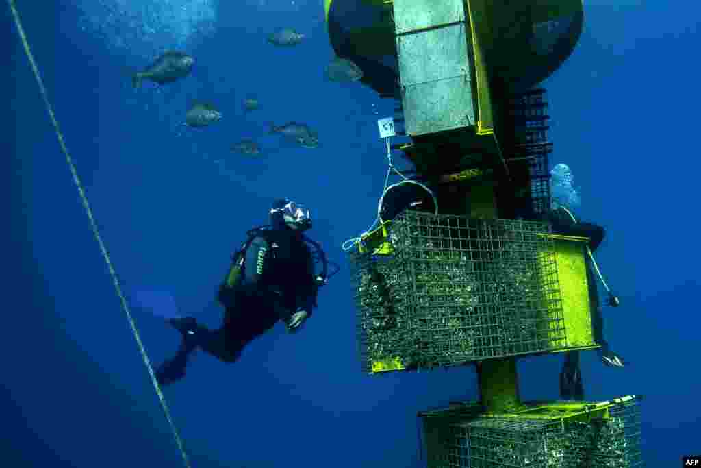 A diver of Ecocean checks &quot;Biohuts&quot; installed in May to study the migratory flows of fishes as part of the project &quot;CONNEXSTERE&quot;, off Leucate, southern France, Sept. 18, 2019.