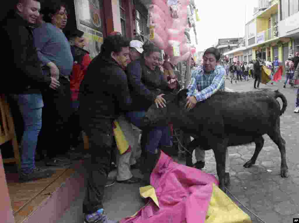 A young bull runs into a group of spectators standing on a sidewalk during the running of the bulls in Pillaro, Ecuador, Aug. 4, 2018.