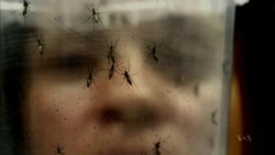 With Each New Discovery, Zika Virus Becomes More Frightening