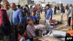 Palestinos desplazados miran pescados recién capturados en una playa junto a un campamento para desplazados en Rafah, en el sur de la Franja de Gaza, el 23 de abril de 2024.