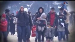 اخبار شامگاهی