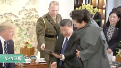 专家视点(辰己由纪)：聚焦川普中国之行