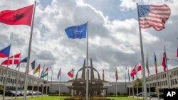 Belgium NATO Ukraine Russia