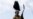 Afghanistan, US Companies Working on Afghan Coal Deal