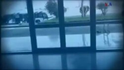 اخبار شامگاهی