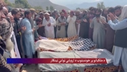 د ملکیانو پر خوندیتوب د اروپايي ټولنې ټینګار 