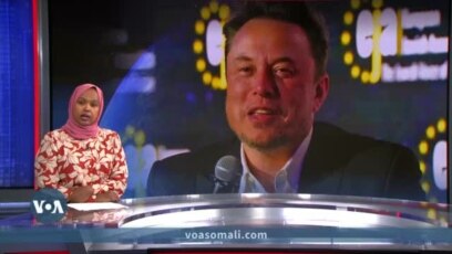 Kaalinta Musk ee dowladda Trump 