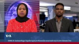 Xaaladda Dalka Suuriya