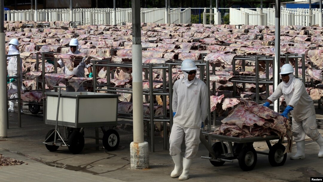 Para pekerja membawa daging asin yang akan diolesi, dikeringkan dan kemudian dikemas di pabrik JBS S.A, produsen daging sapi terbesar dunia, di Santana de Parnaiba, Brazil. (Foto: REUTERS/Paulo Whitaker)