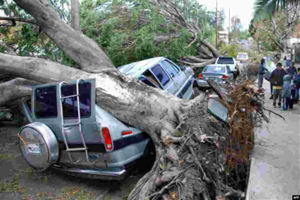 A van parked in the Highland Park section of Los Angeles and another car are shown damaged by trees early Thursday, Dec. 1, 2011 as high Santa Ana winds up to 50 and 60 MPH tore through the southland. The high winds flipped over trees and trucks and knock