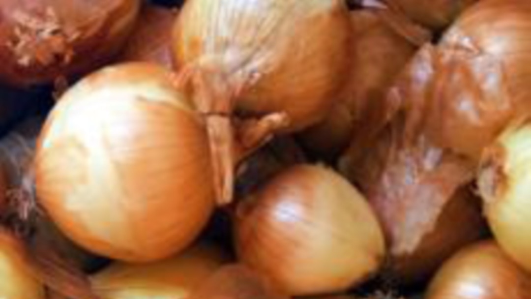 Grow It Yourself: Onions Are Nothing to Cry About