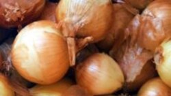 Grow It Yourself: Onions Are Nothing to Cry About