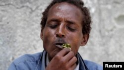 Un homme mâche du khat à Moagdiscio, Somalie, 10 août 2014.