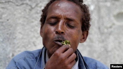 Somali Ban on Popular Narcotic Takes Effect