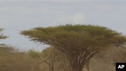 Infashanyo ya Amerika yo kurwanya ingaruka z’amapfa mu Ihembe rya Afrika yariyongereye