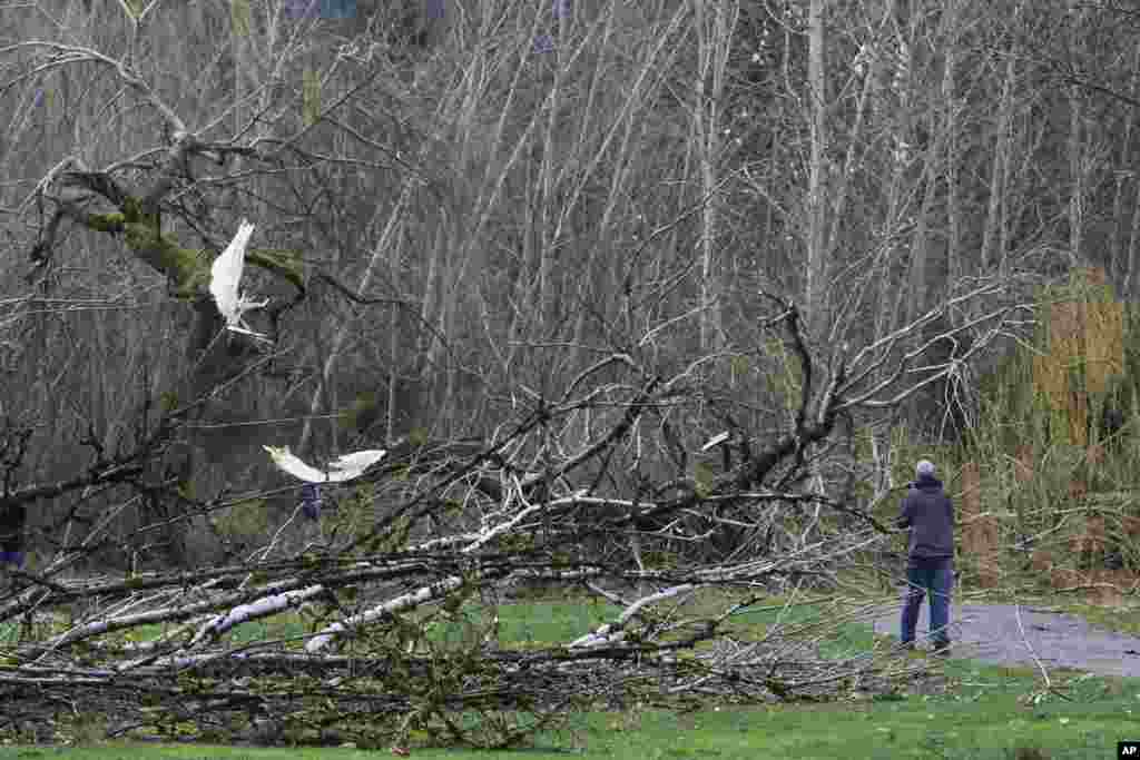 El noroeste de Estados Unidos se vio azotado por una fuerte tormenta que afectó a la región con fuertes vientos y lluvias.