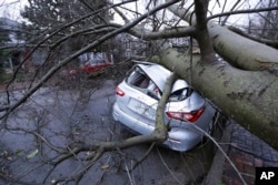 Automobil na koji je palo drvo uslet naleta tornada u Nešvilu (Foto: AP/Mark Humphrey)