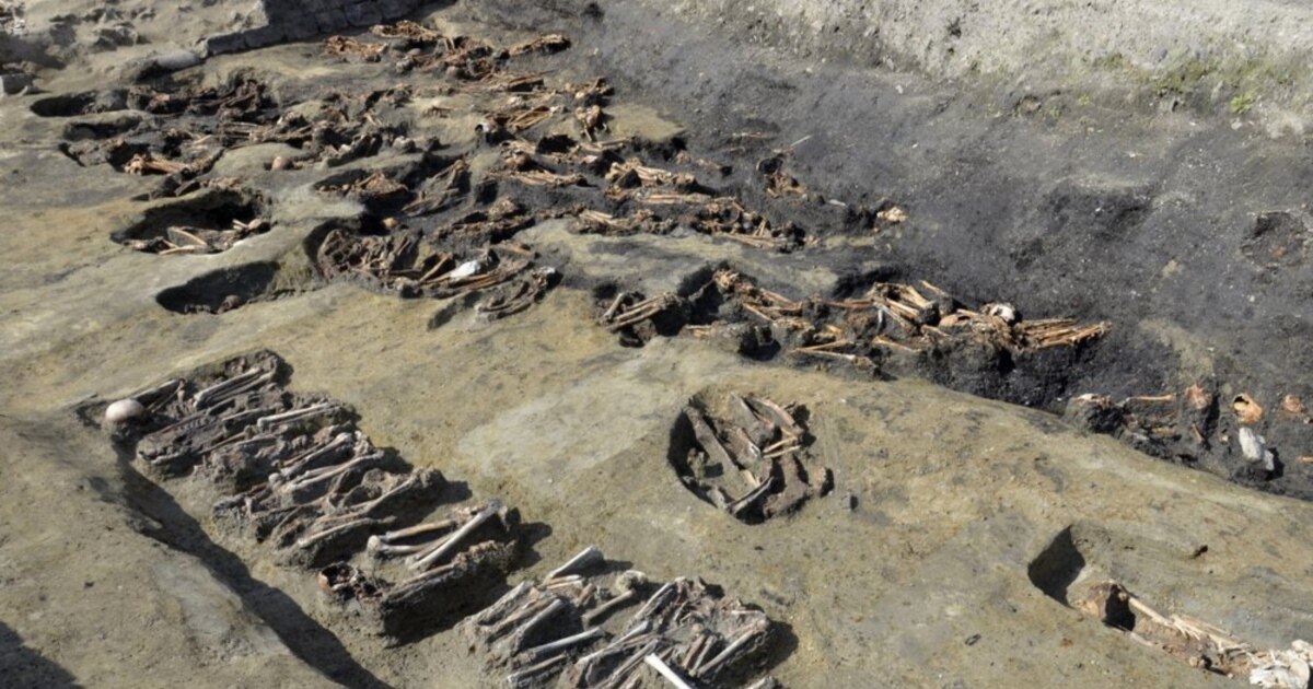 Remains from Mass Grave in Japan Suggest Epidemic in 1800s