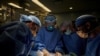 แพทย์สหรัฐฯ ปลูกถ่ายไตหมูสู่ร่างกายมนุษย์ได้สำเร็จเป็นครั้งแรก