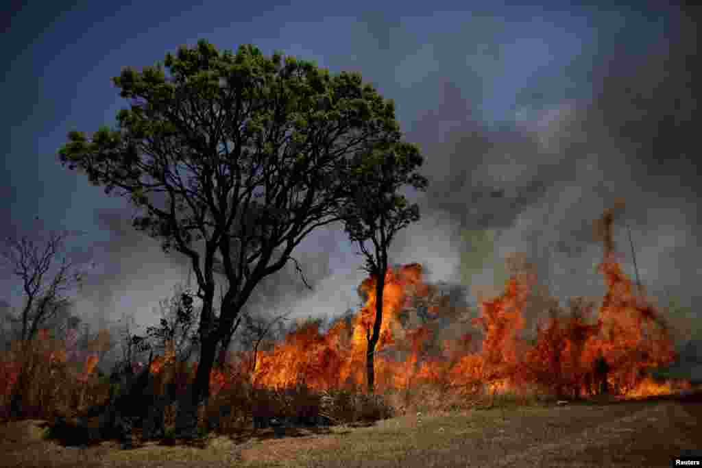 A view of the devastation caused by a forest fire at the front of Brasilia's National Park, in Brasilia, Brazil, Sept. 19, 2017.