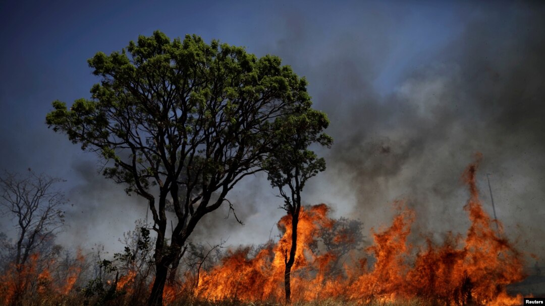 Kebakaran hutan di Taman Nasional Brasilia, di Brasilia, Brazil, 19 September 2017. 