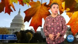 Amerika Manzaralari, November 18, 2019 - Exploring America