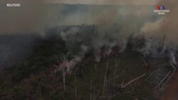 Օդային տեսագրությունը ցույց է տալիս Բրազիլիայի Ամազոնի անտառներից վեր բարձրացող ծուխը՝ անտառային հրդեհների ներքո