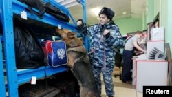 A Russian police officer leads her sniffer dog to check luggage for explosives at a left-luggage room at a railway station in the Siberian city of Krasnoyarsk, Russia April 4, 2017.