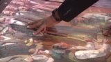 Уметност наменета за лицата со оштетен вид