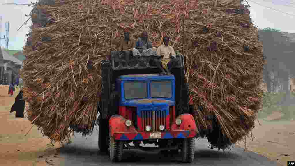 People sit on the top of a truck heavily piled with corn-stalks plies as they head for Mogadishu from Afgooye.