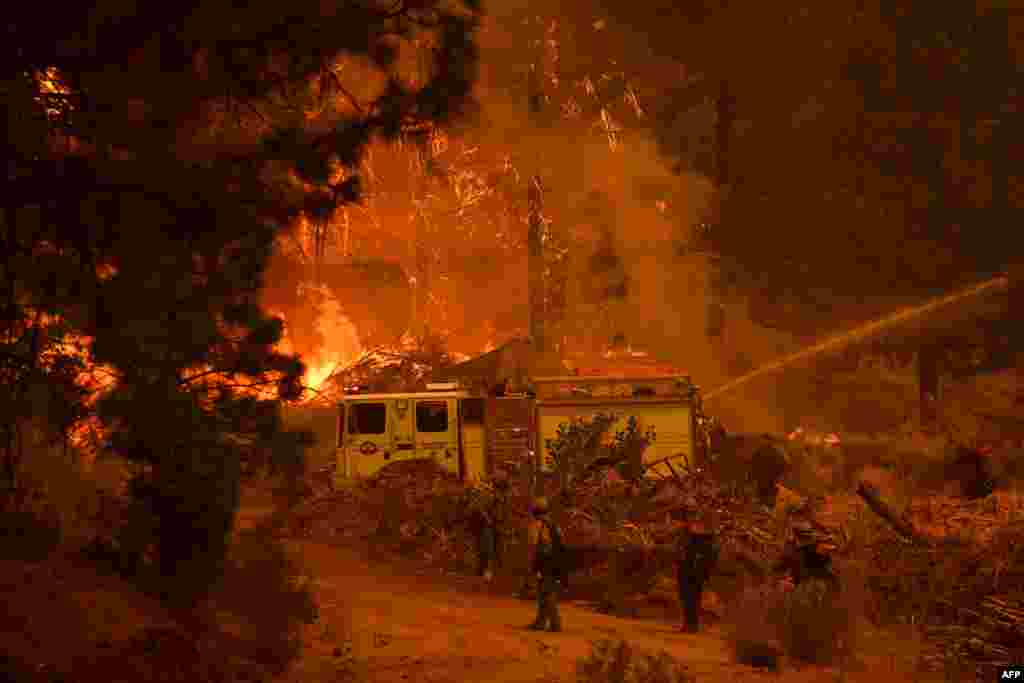 Firefighters control the Windy Fire as trees burn in the Sequoia National Forest near Johnsondale, California, Sept. 22, 2021.