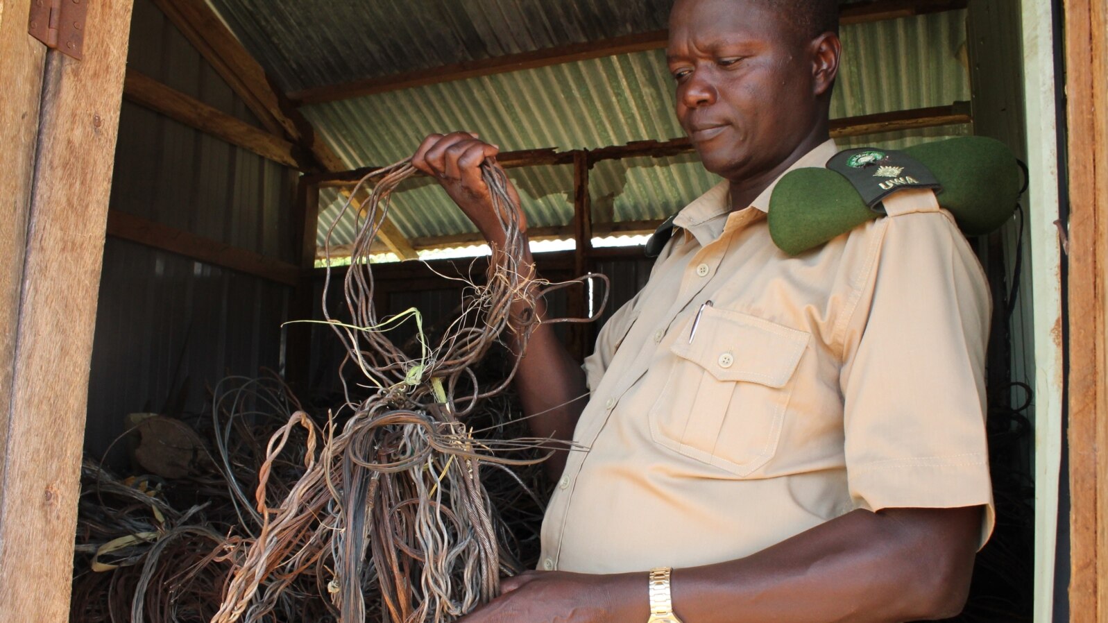 Tom Okello in the shed where the Uganda Wildlife Authority keeps snares it has found, Nov. 2, 2013. (VOA/Hilary Heuler)