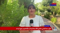 محورهای سیاسی و اقتصادی دیدارهای علی الزیدی، نخست‌وزیر عراق در نشست سازمان ملل