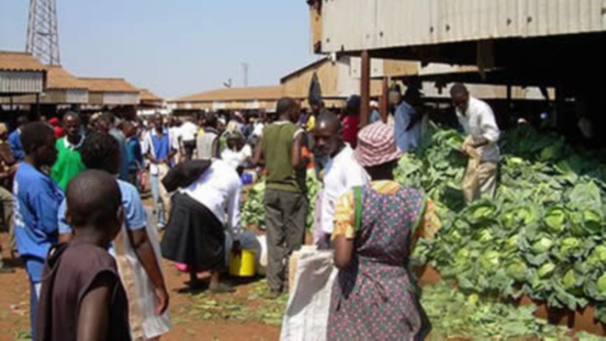 Zimbabwe Youth Stuck in Harsh Political, Economic Crises