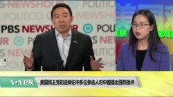 时事看台(莫雨)：美国民主党初选辩论中多位参选人对中国提出强烈批评