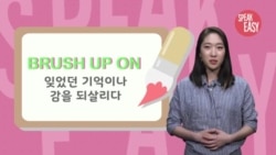 [Speak Easy] 잊었던 기억을 되살리다 'Brush up on'