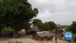 Kenya’s Boni Forest Schools Reopen 5 Years after Attacks