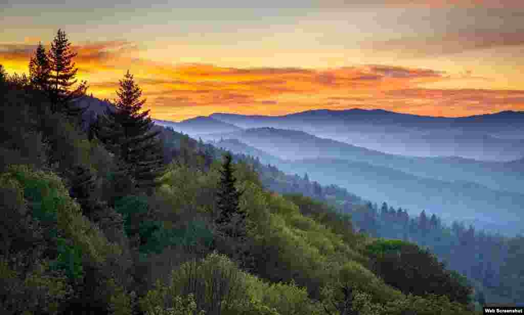 Great Smoky Mountains Milli Parkı