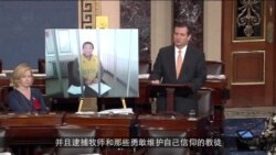 美参议员克鲁兹院会发言批中国人权（四）